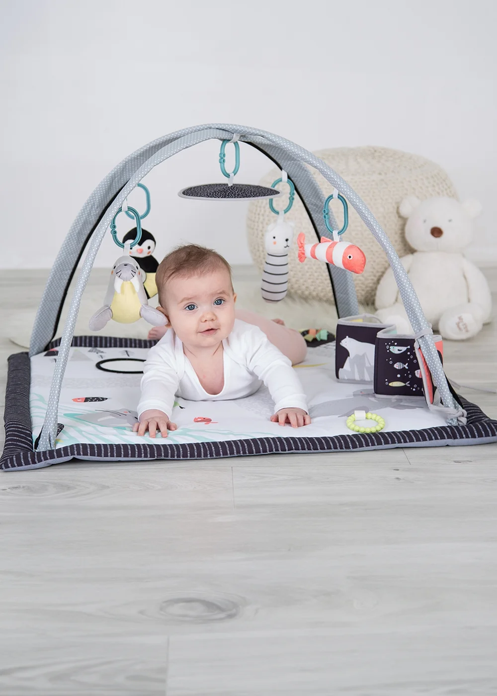 Red Kite Play Gym Arctic Dreams Padded (49cm x 79cm x 79cm) - One Size Image 5