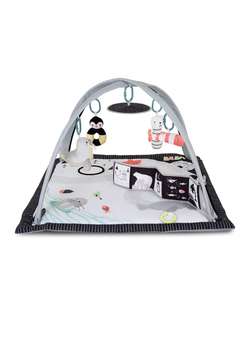 Red Kite Play Gym Arctic Dreams Padded (49cm x 79cm x 79cm) - One Size Image 2