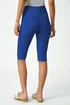 Roman Royal Blue Knee Length Stretch Shorts - 18 Image 4