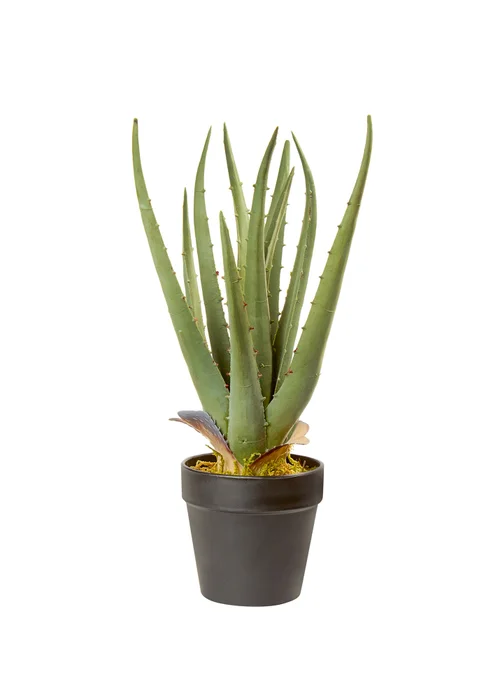 Premier Decorations Green Artificial Aloe Vera Plant 34cm - One Size Image 1