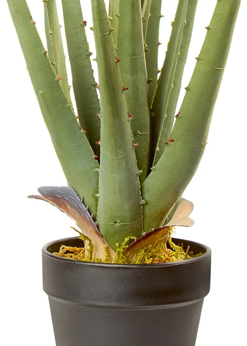 Premier Decorations Green Artificial Aloe Vera Plant 34cm - One Size Image 2