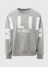 Grey Marl Over Arm Slogan Sweatshirt - Small Image 5