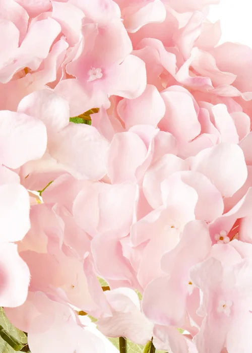 Premier Decorations Potted Pink Hydrangea Artificial Flower 39cm - No Size Image 3