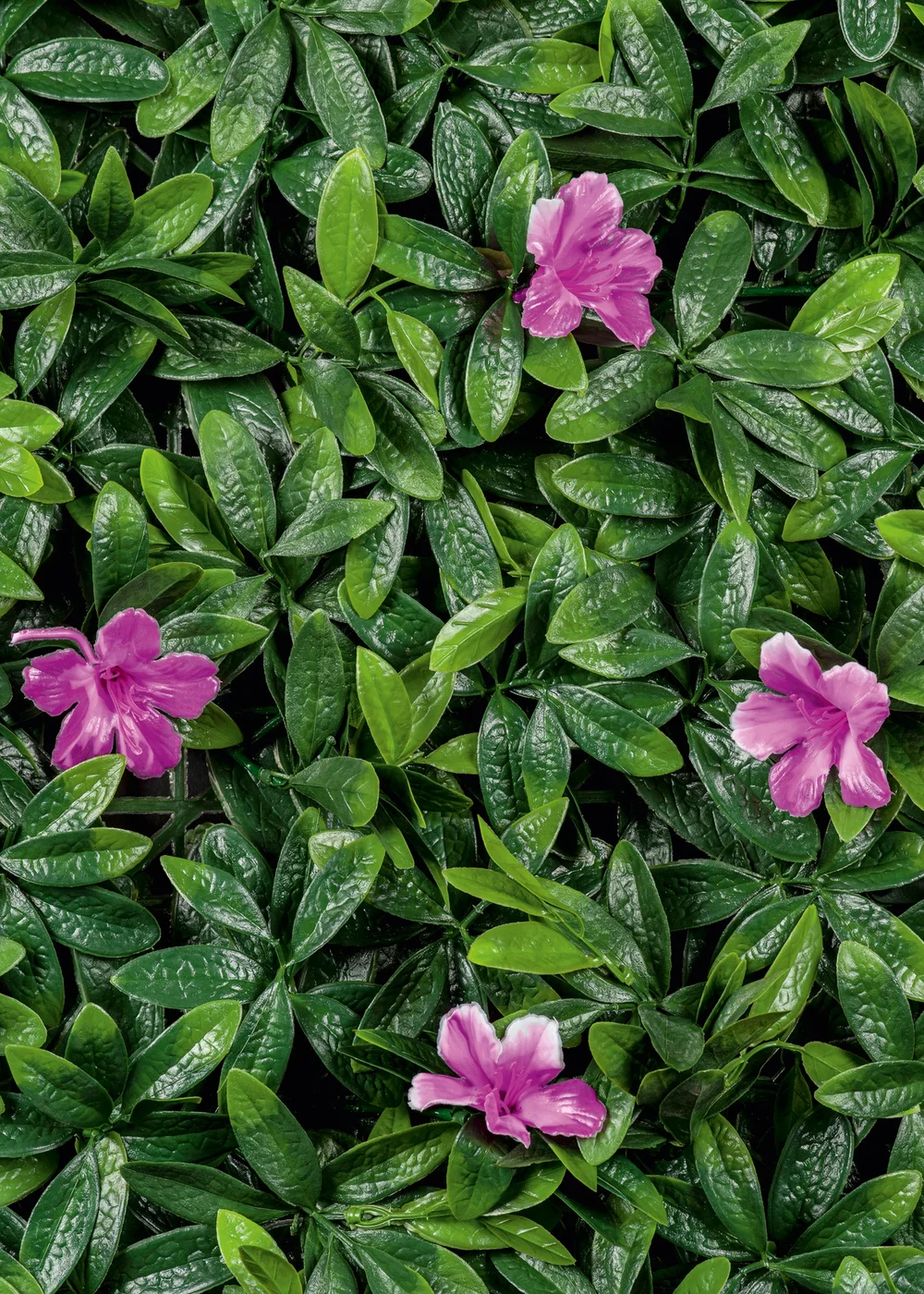 Premier Decorations Azalea Artificial Living Wall Panel (100cm x 100cm) - One Size Image 2