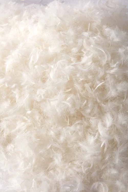 BHS All Natural Pair of Duck Feather Pillows - One Size Image 2