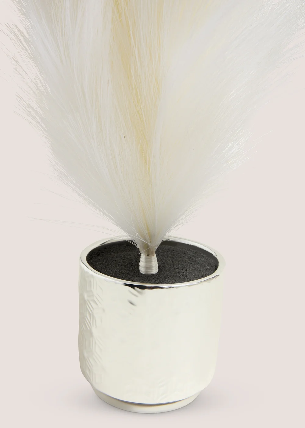 Wondrous White Pampas Tree Image 2