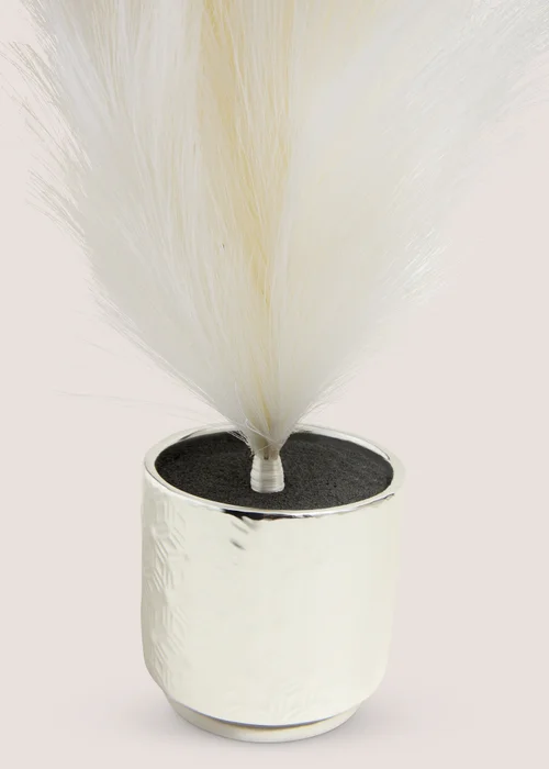 Wondrous White Pampas Tree Image 2