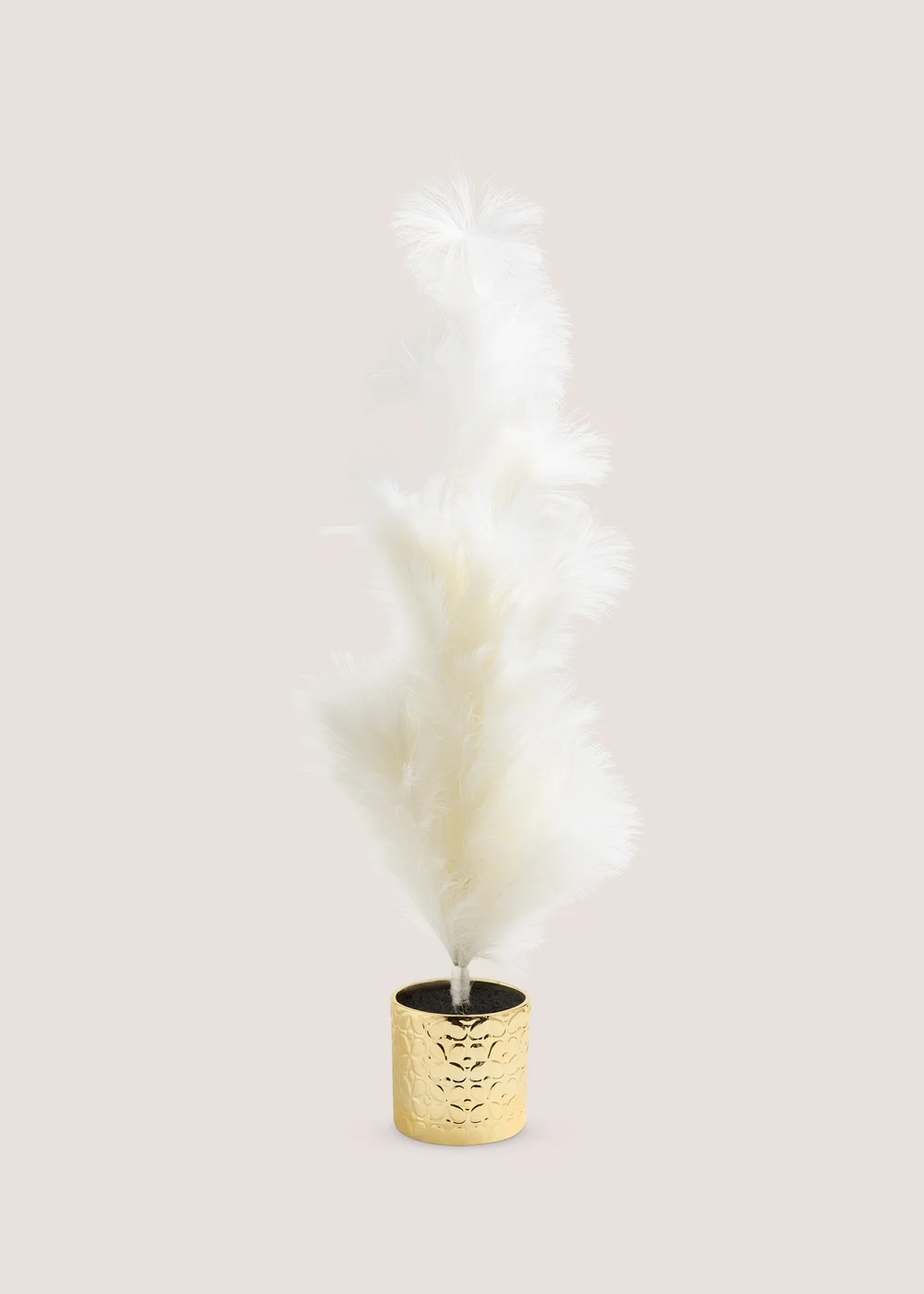 Wondrous Large White Pampas Tree Image 1