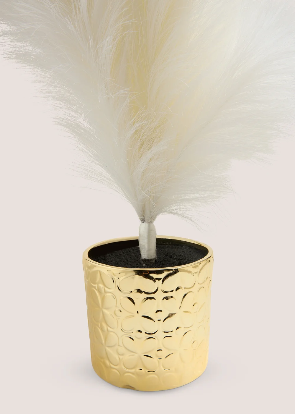 Wondrous Large White Pampas Tree Image 2