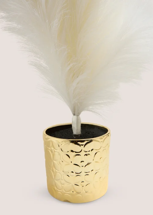 Wondrous Large White Pampas Tree Image 2