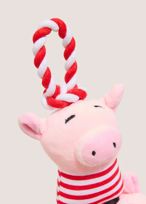 3 Pigs In Black Rope Toy Image 2