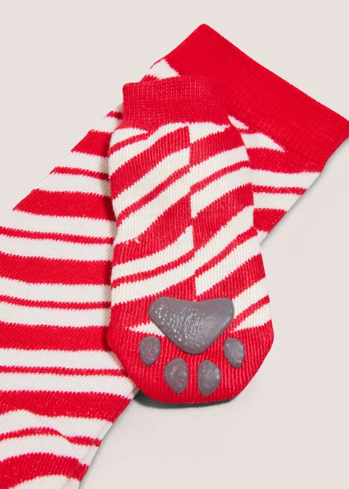 Pet and Human Socks Image 2