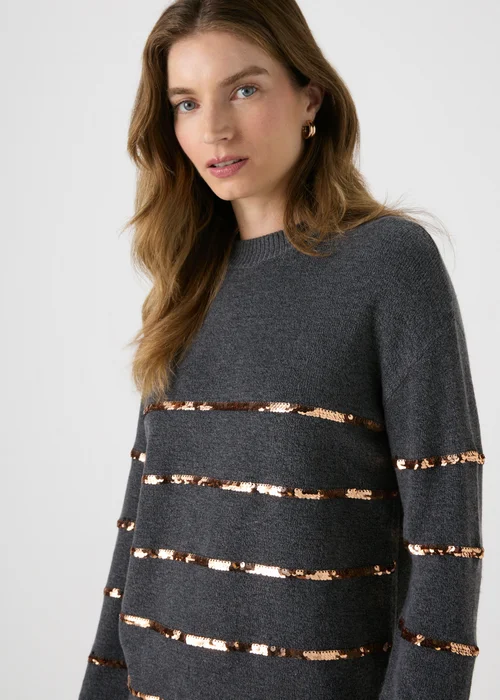 Charcoal Sequin Stripe Tunic - XS Image 1