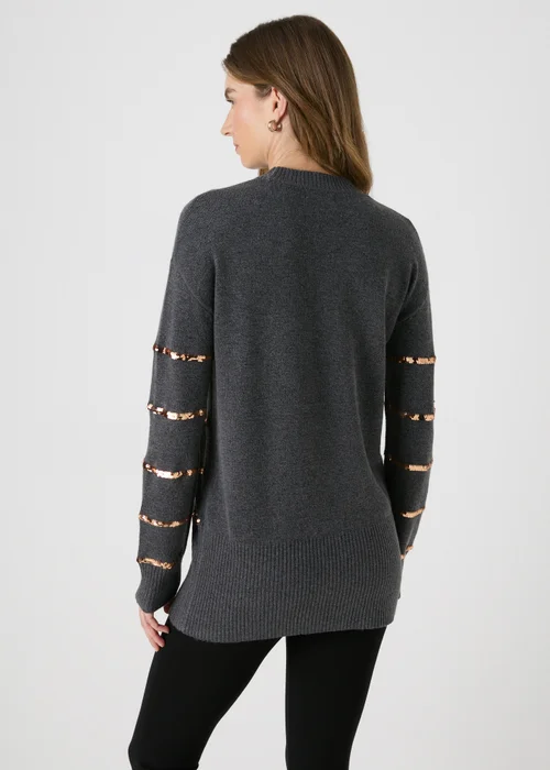 Charcoal Sequin Stripe Tunic - XS Image 2