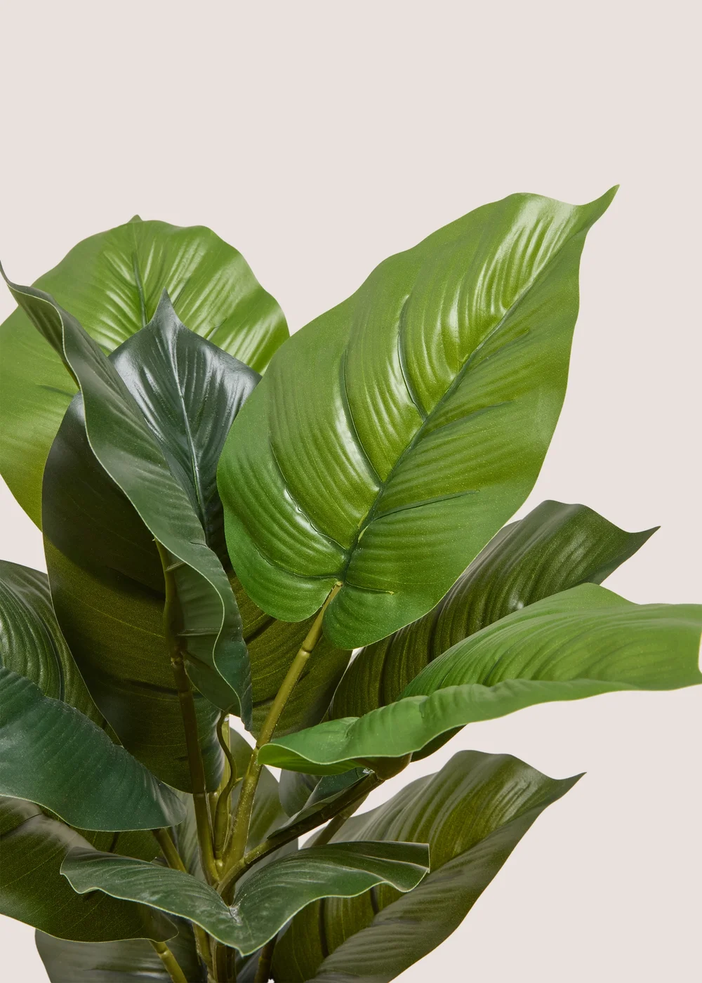Silver Ribbed Pot With Leafy Plant Image 2