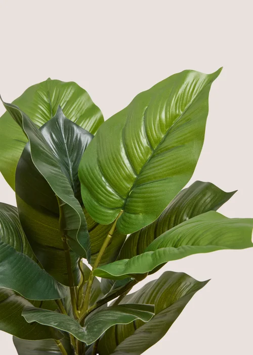 Silver Ribbed Pot With Leafy Plant Image 2