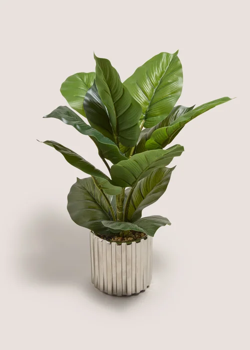 Silver Ribbed Pot With Leafy Plant Image 1