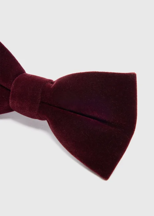 Taylor & Wright Wine Velvet Bow Tie - One Size Image 2