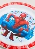 Christmas Spiderman Plate Image 2