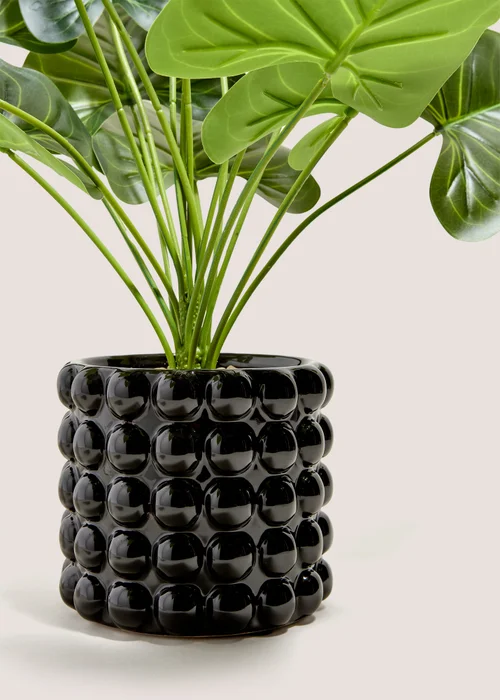 Black Bobble Pot & Plant Image 2