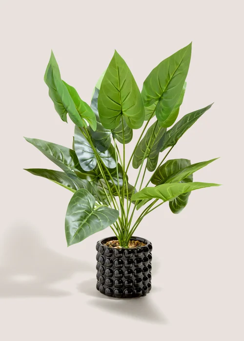 Black Bobble Pot & Plant Image 1