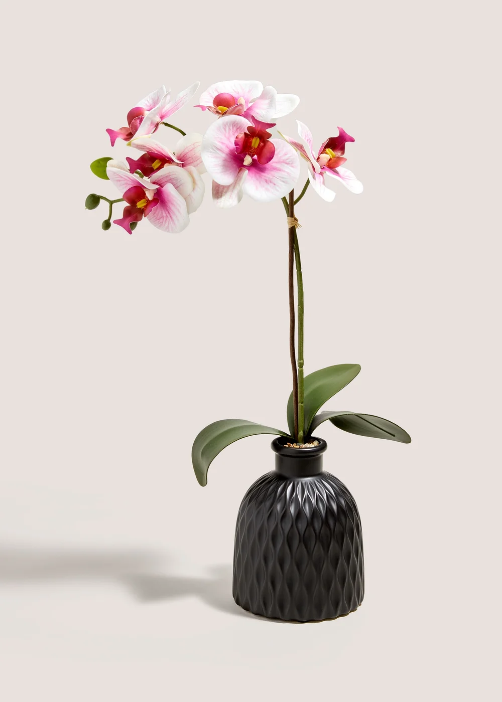 Pink Orchid In Black Pot Image 1