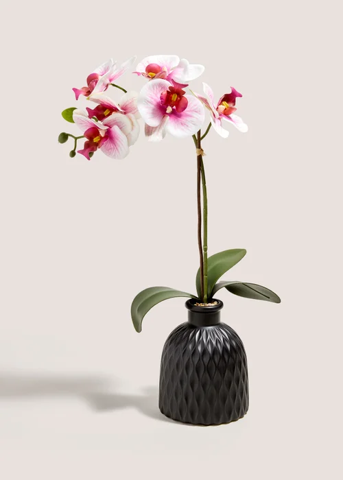 Pink Orchid In Black Pot Image 1