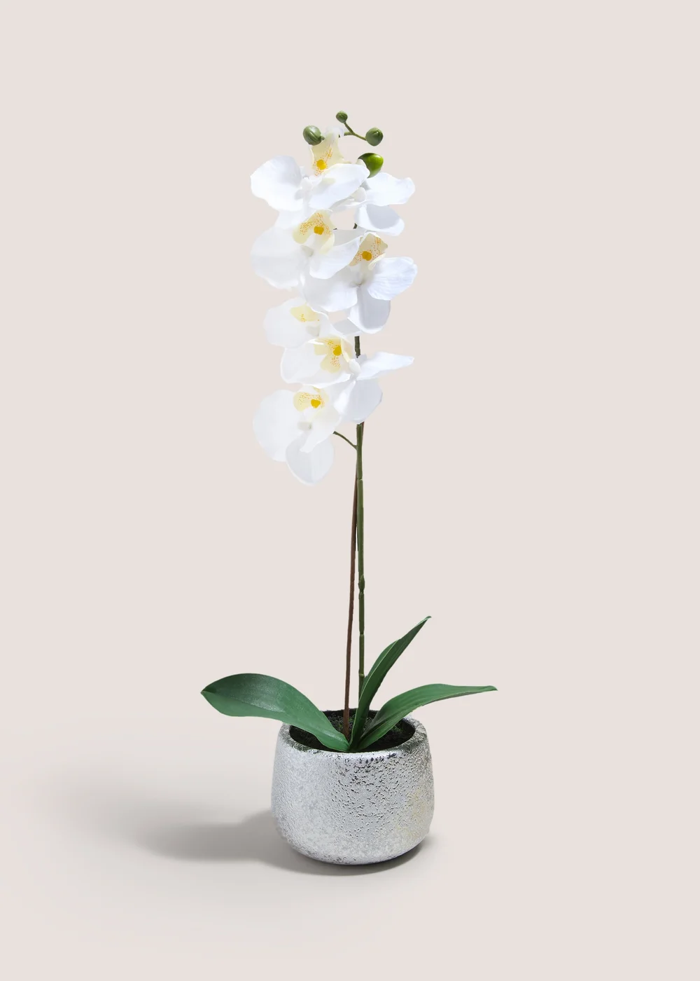 Orchid In Silver Pot Image 1