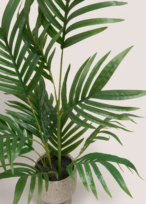 Palm Plant in Stone Pot Image 2
