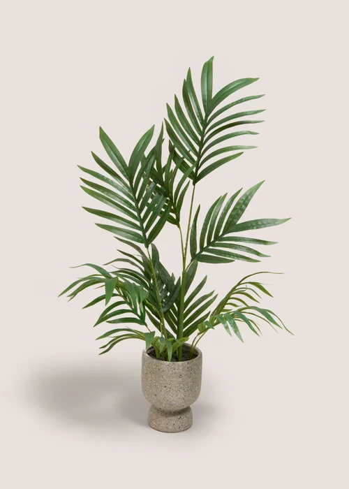 Palm Plant in Stone Pot Image 1
