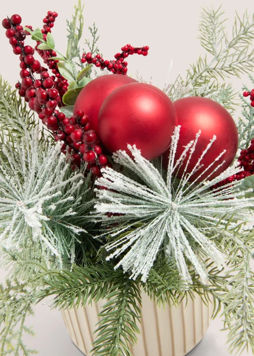 Winter Poem Multi Winter Poem Plant Image 2