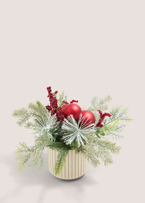 Winter Poem Multi Winter Poem Plant Image 1