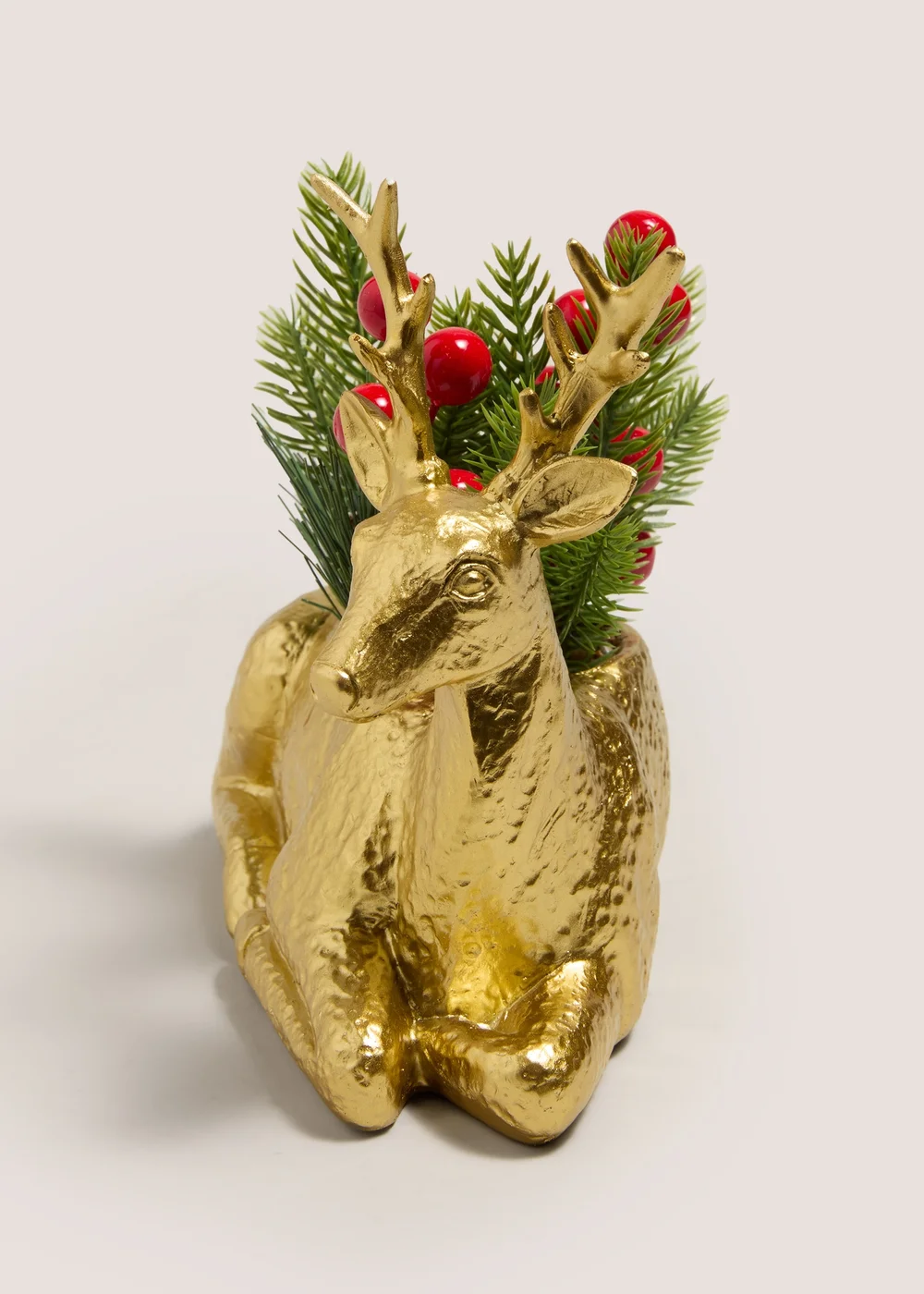 Winter Poem Gold Stag Plant Image 2