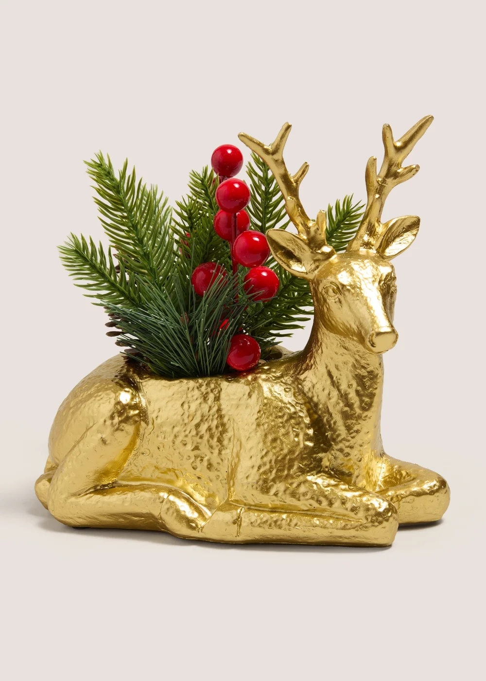 Winter Poem Gold Stag Plant Image 1