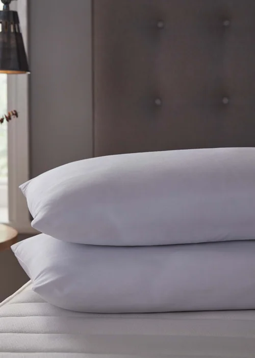 Silentnight 2 Pack Warm & Cosy Pillows Image 2