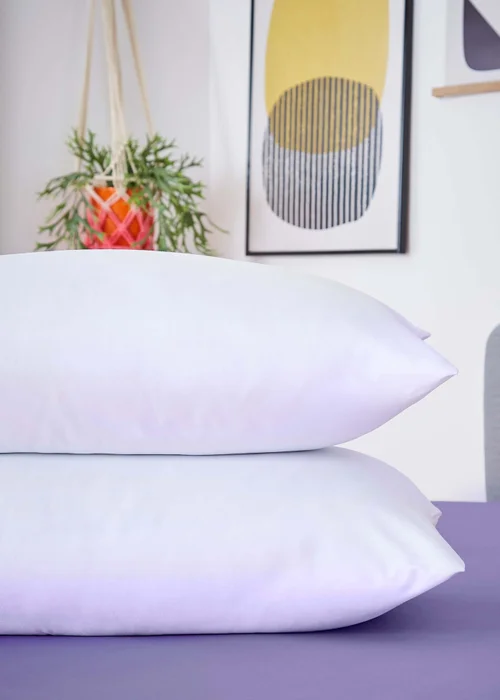Snug 2 Pack Dreamy Like Down Pillows Image 2
