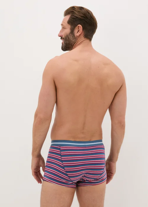 3 Pack Red Striped Hipsters - S Image 3