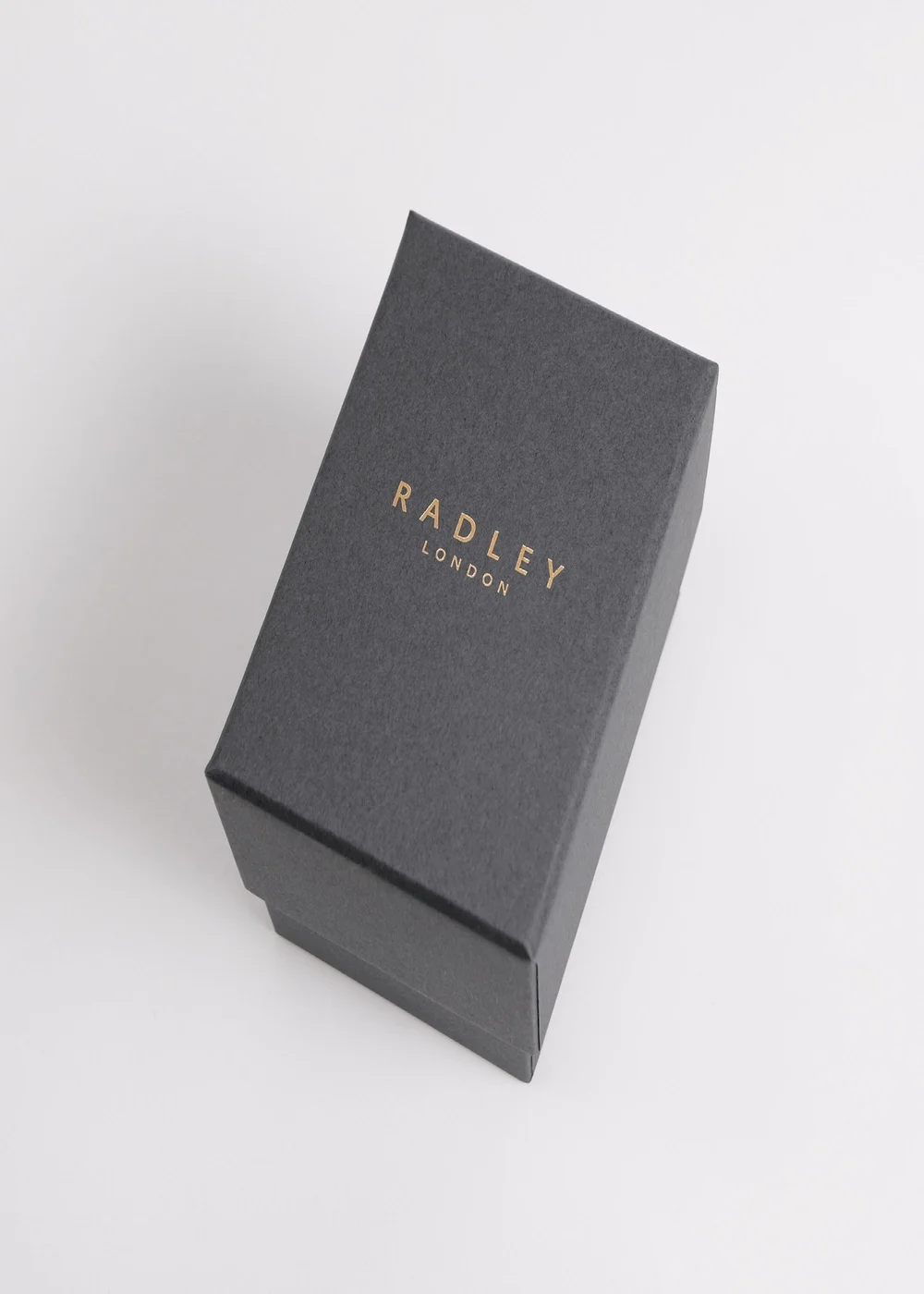 Radley London Series 21 Ink Silicone Watch - One Size Image 3