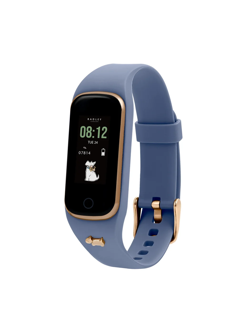 Radley London Blue Series 8 Vintage Silicone Watch - One Size Image 1