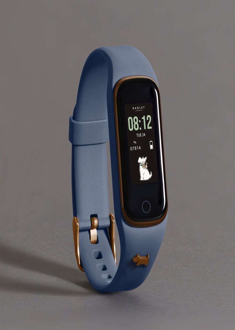 Radley London Blue Series 8 Vintage Silicone Watch - One Size Image 3