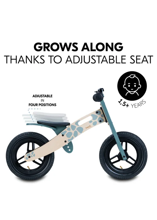 Hauck Turtle Balance N Ride Wooden Balance Bike - One Size Image 4