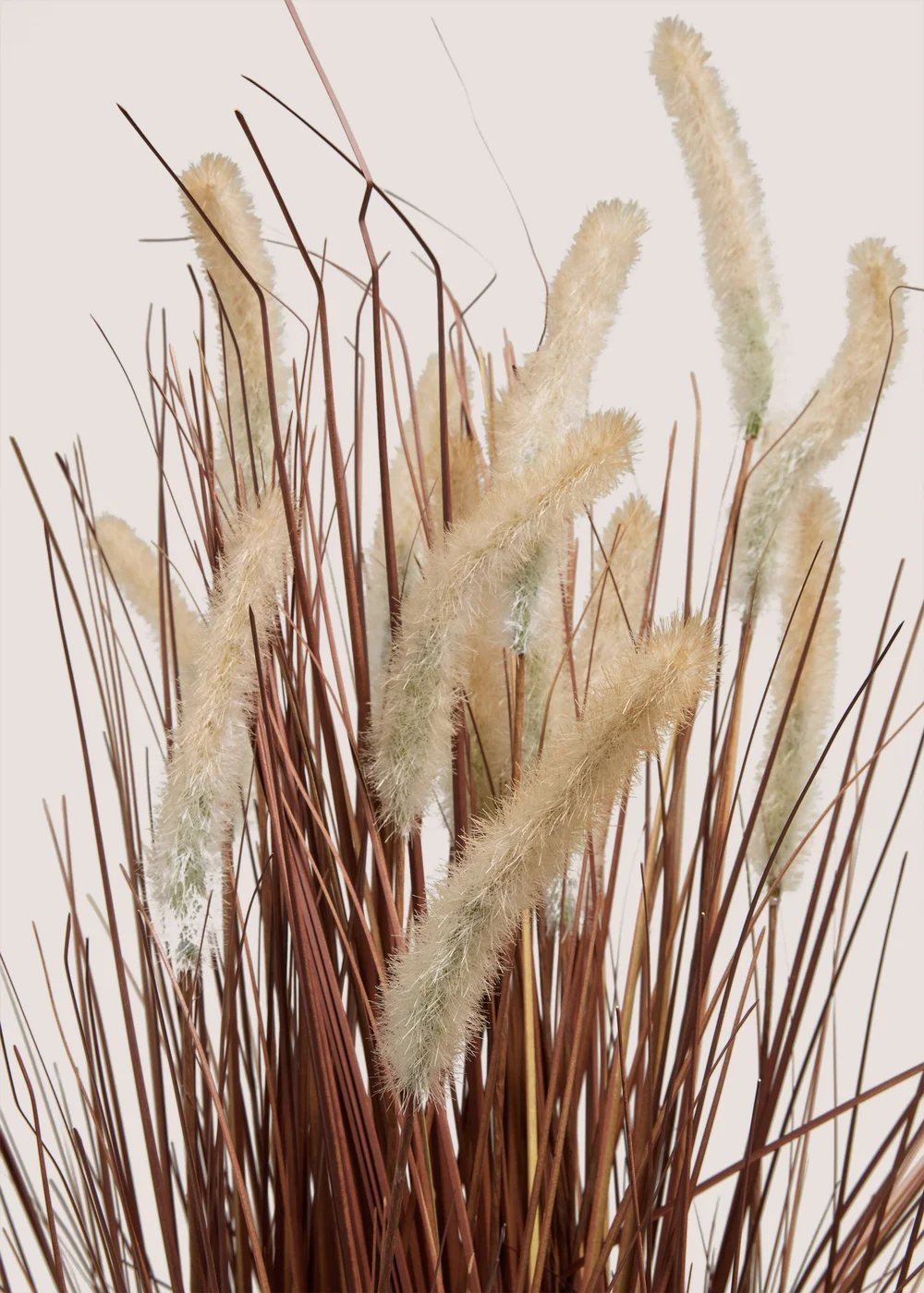 Gold Grass Plant (44cm x 24cm x 83cm) Image 2