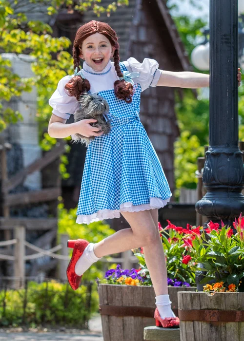 Rubies Kids Dorothy Fancy Dress Costume with Sequins (4–14 yrs) - S Image 3