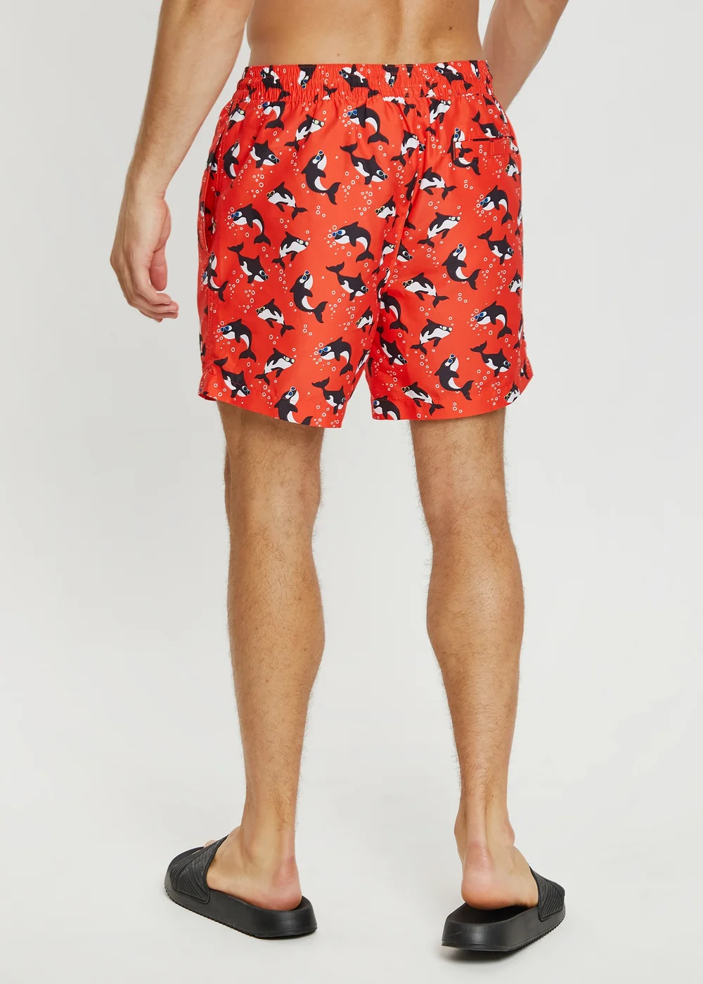 Threadbare Red Whale Print Swim Shorts - Medium Image 2
