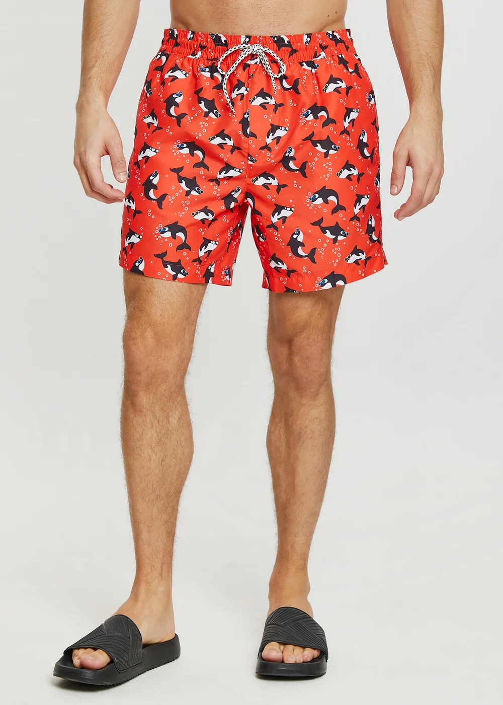 Threadbare Red Whale Print Swim Shorts - Medium Image 1