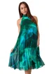 Roman Petite Dark Green Petite Abstract Halter Neck Pleated Dress - 12 Image 1