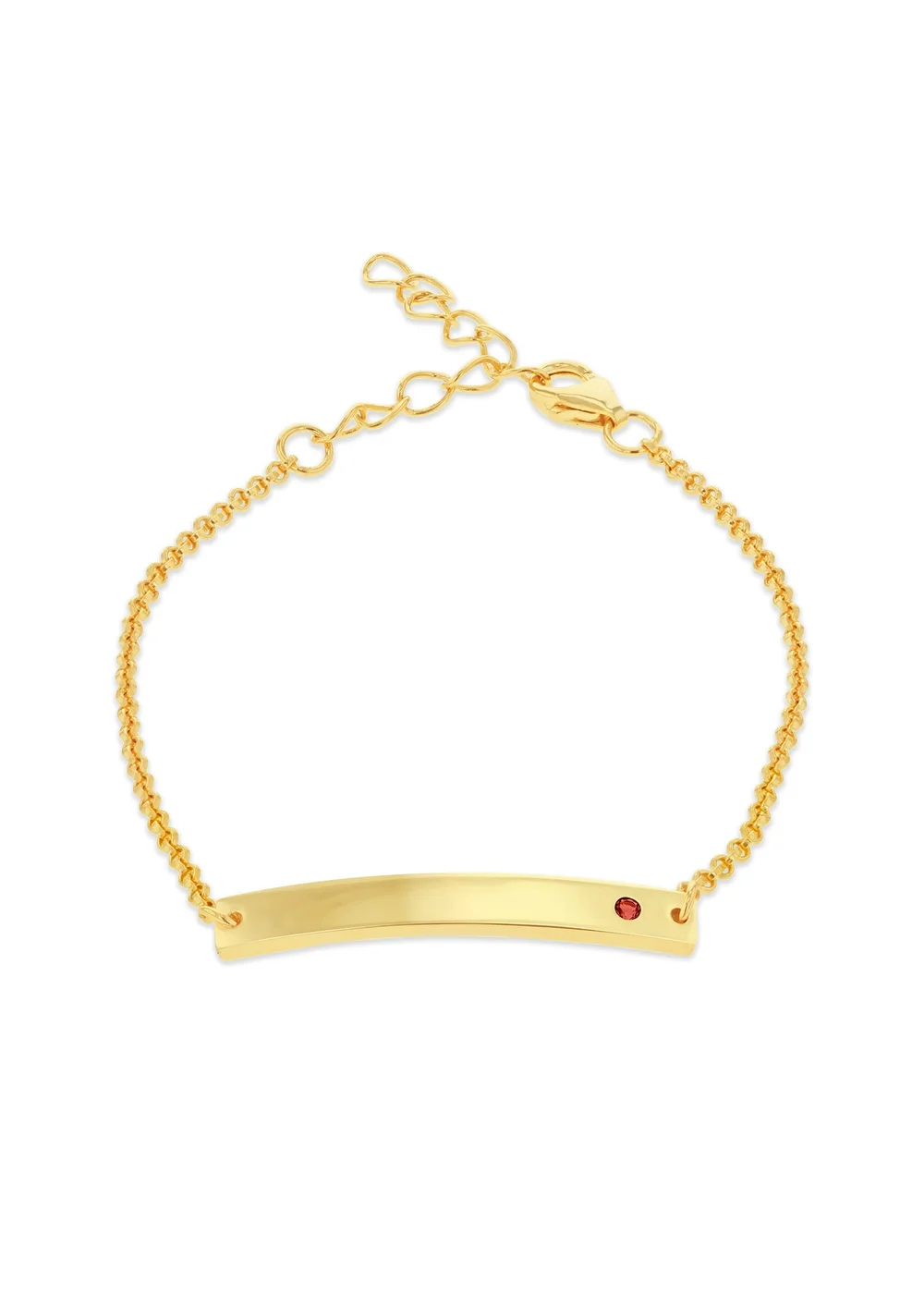 Golden Moments Gold Plated ID Bar January Birthstone CZ Bracelet - One Size Image 1