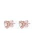 Golden Moments Sterling Silver Rose Gold Plated CZ Heart Stud Earrings - One Size Image 2