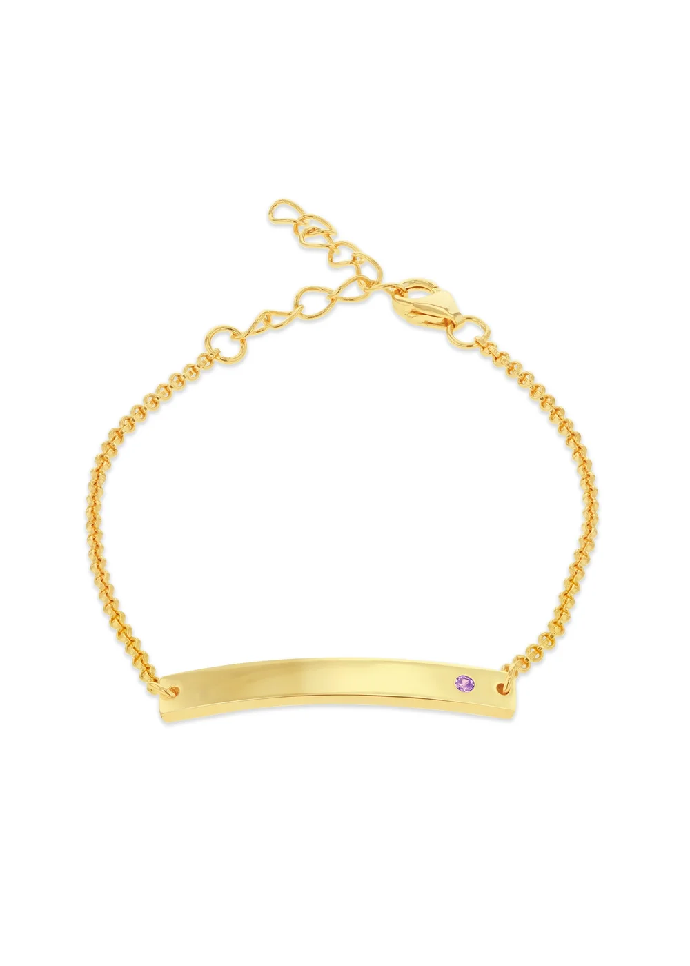 Golden Moments Gold Plated ID Bar February Birthstone CZ Bracelet - One Size Image 1