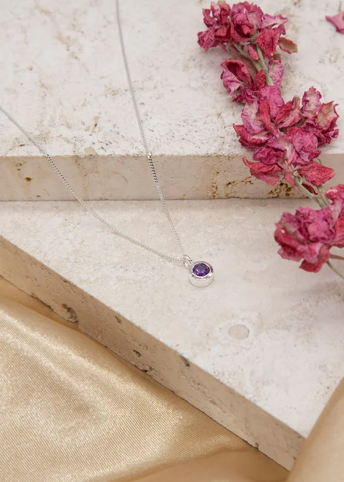 Golden Moments Sterling Silver CZ February Birthstone Necklace - One Size Image 2